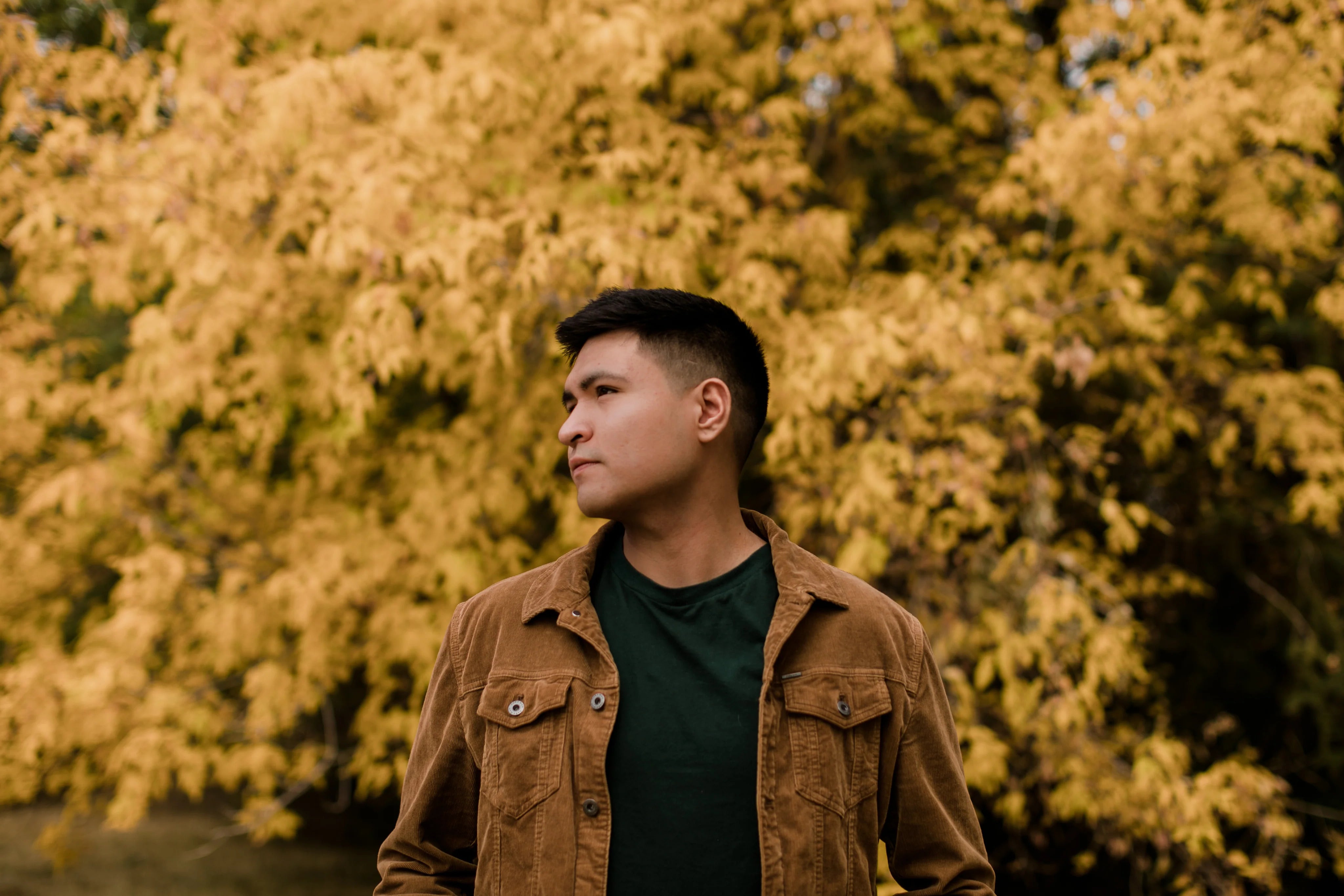 files/imgi_53_man-looks-to-the-left-on-a-fall-day.jpg